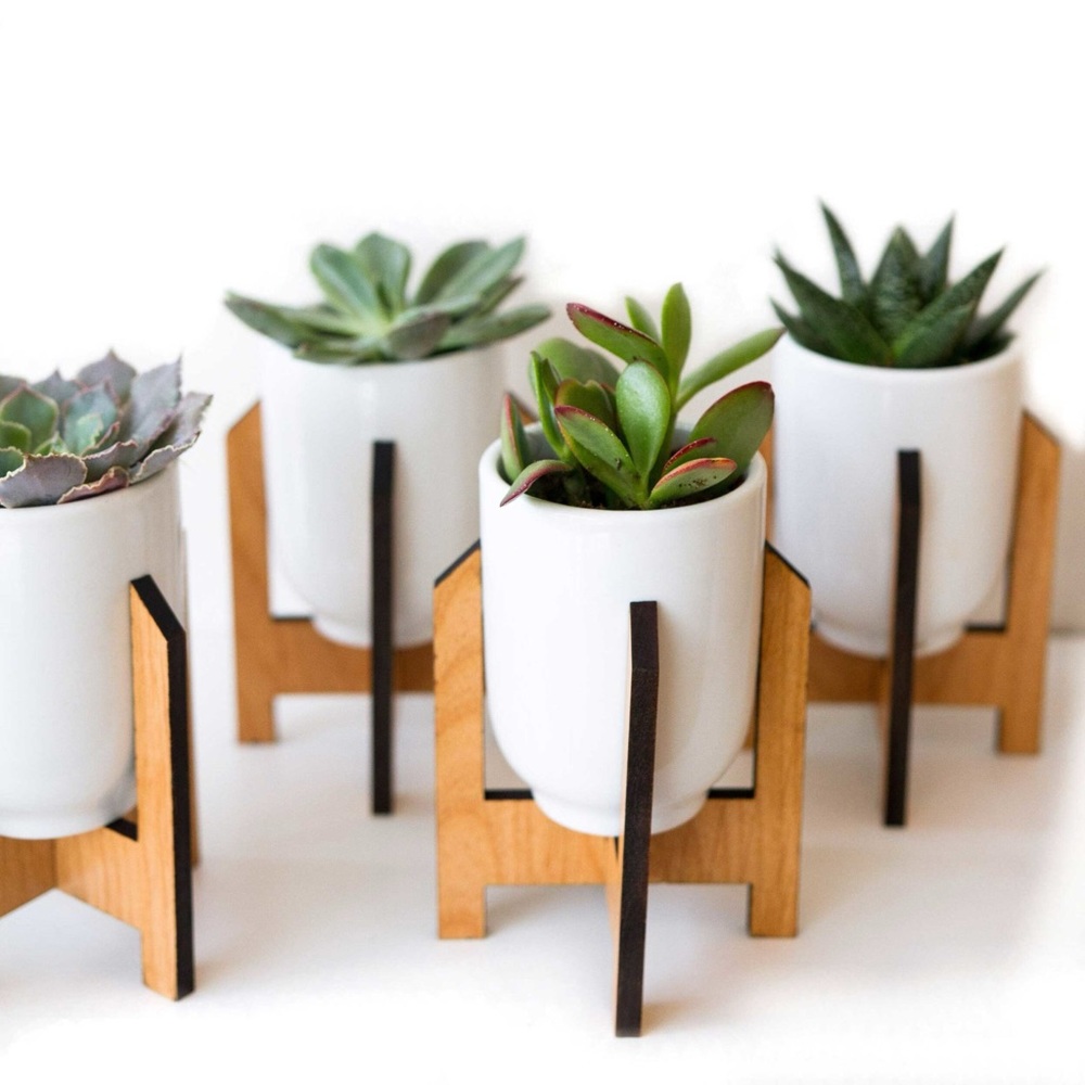 LUCCA Minimalist Medium Planter / Ceramic + Wood Modern Plant Stand